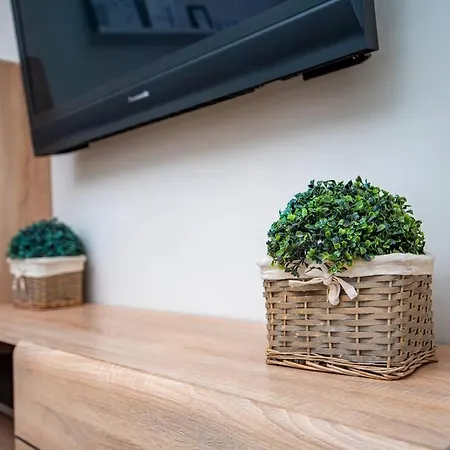 公寓 Huge Stylish Monroe 1 / Centre 普罗夫迪夫